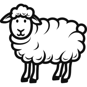 Rysunek Owca Dall'a