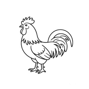 Rysunek Zwierzę Kogut
